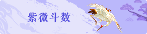 紫薇斗數